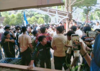 Whatsapp Image 2024 09 03 At 14 13