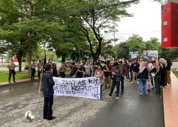 Whatsapp Image 2024 11 22 At 13 08