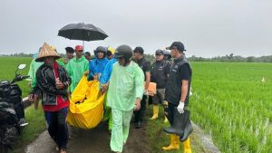 Mayat Wanita Yang Ditemukan Di Sawah Di Gowa Dievakuasi