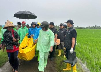 Mayat Wanita Yang Ditemukan Di Sawah Di Gowa Dievakuasi