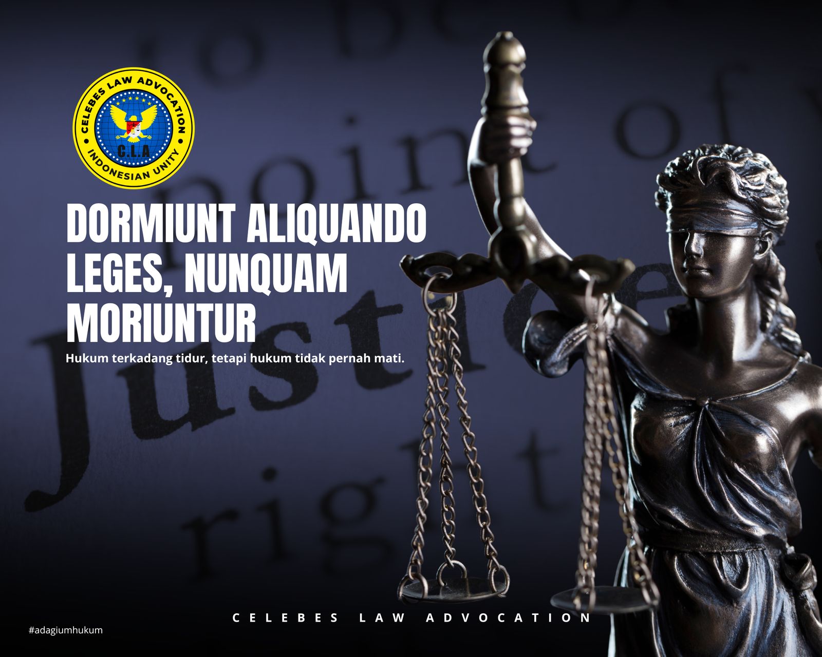 Whatsapp Image 2025 02 11 At 22 36