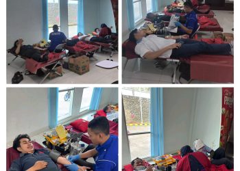 Whatsapp Image 2025 02 14 At 15 51