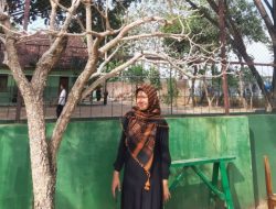 Whatsapp Image 2025 11 12 At 04 28