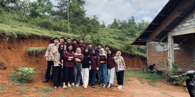 Whatsapp Image 2025 11 27 At 20 20 17